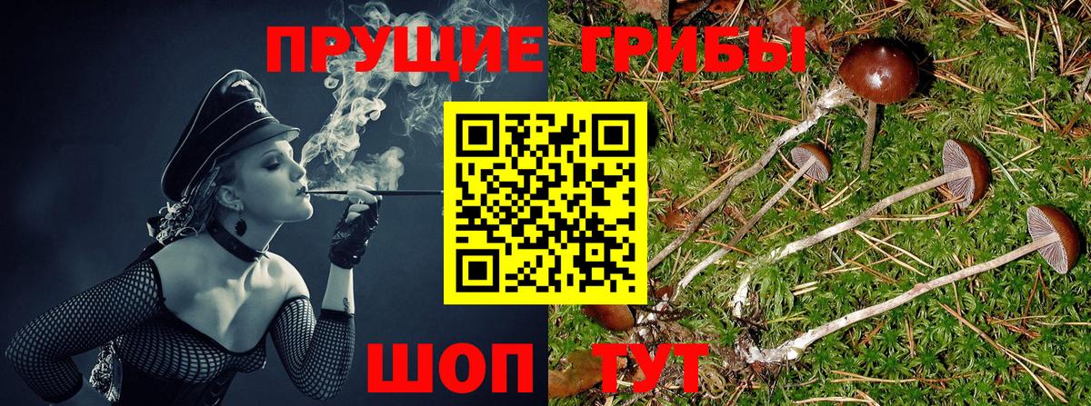 Муром  Псилоцибиновые грибы мухоморы  Вход с VPN  Псилоцибиновые грибы Magic Shrooms 